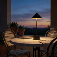 ITERPUB::cold-fleurlys-9155331260590::02-inuse