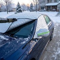ITERPUB::cold-fleurlys-9146517029038::02-inuse