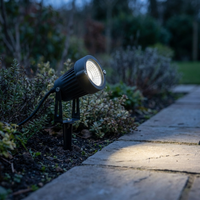 ITERPUB::cold-fleurlys-9155332407470::02-inuse