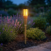 ITERPUB::cold-fleurlys-9156839604398::02-inuse