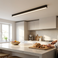 ITERPUB::cold-fleurlys-9156848844974::02-inuse