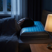 ITERPUB::cold-fleurlys-9156829806766::02-inuse