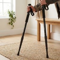 ITERPUB::cold-fleurlys-9152295436462::02-inuse