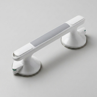 ITERPUB::cold-fleurlys-9155296198830::04-variant-1x-grab-bar