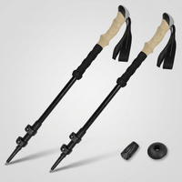 ITERPUB::cold-fleurlys-9152295665838::04-variant-2pcs-black