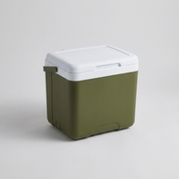 ITERPUB::cold-fleurlys-9156830003374::04-variant-6l-cooler-box
