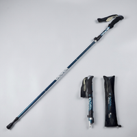 ITERPUB::cold-fleurlys-9152295305390::04-variant-blue