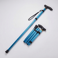 ITERPUB::cold-fleurlys-9152295141550::04-variant-blue