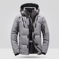 ITERPUB::cold-fleurlys-9156854349998::04-variant-grey