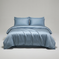 ITERPUB::cold-fleurlys-9155302457518::04-variant-nordic-blue