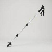 ITERPUB::cold-fleurlys-9152283050158::04-variant-outdoor-lock-silvery-cane-26-77-53-15inch