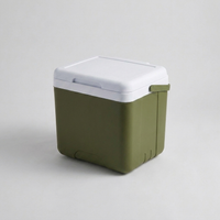 ITERPUB::cold-fleurlys-9156830003374::05-variant-13l-cooler-box