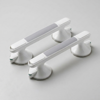 ITERPUB::cold-fleurlys-9155296198830::05-variant-2x-grab-bar