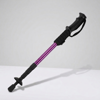 ITERPUB::cold-fleurlys-9152295600302::05-variant-4-section-purple