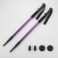 ITERPUB::cold-fleurlys-9152295436462::05-variant-purple-2pcs