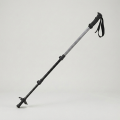 ITERPUB::cold-fleurlys-9152283050158::05-variant-upgraded-two-tone-gray-for-cane-26-77-53-15inch