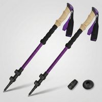 ITERPUB::cold-fleurlys-9152295665838::06-variant-2pcs-purple