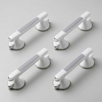 ITERPUB::cold-fleurlys-9155296198830::06-variant-4x-grab-bar