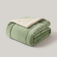 ITERPUB::cold-fleurlys-9146437042350::06-variant-light-green