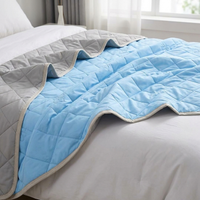 ITERPUB::cold-fleurlys-9152280461486::06-variant-sky-blue-summer-quilt