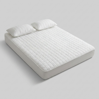 ITERPUB::cold-fleurlys-9156846289070::06-variant-white