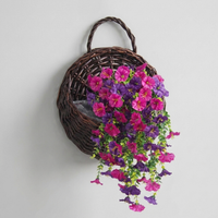 ITERPUB::cold-fleurlys-9146569523374::07-variant-rosered-purple-1pc