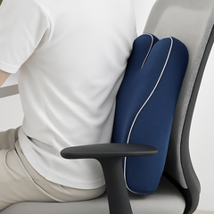LUMEVIA - Sculpted Back Cushion for Posture and Lumbar Relief