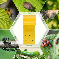 BUGSTRIP - Tree Barrier Tape That Stops Crawling Garden Pests