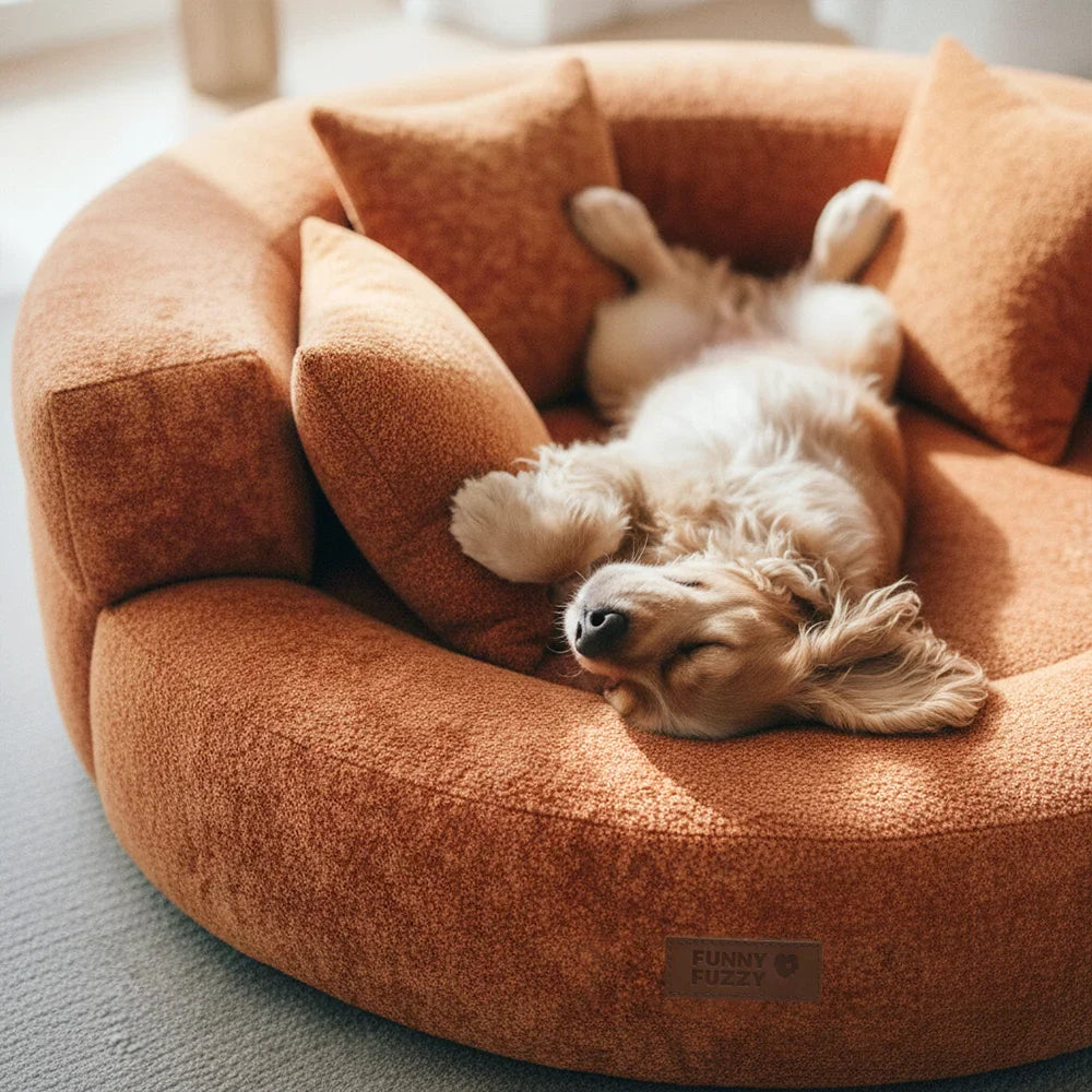 PAVLUNE - Statement Velvet Dog Bed for Cushioned Joint Support