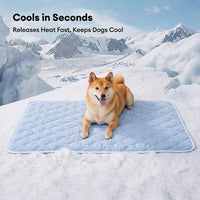 FROZELI - Reversible Cooling Dog Blanket for Cooler, Cleaner Sofas