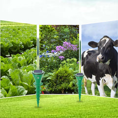 MOLVERRA - Solar Mole Repeller for Quiet Garden Protection