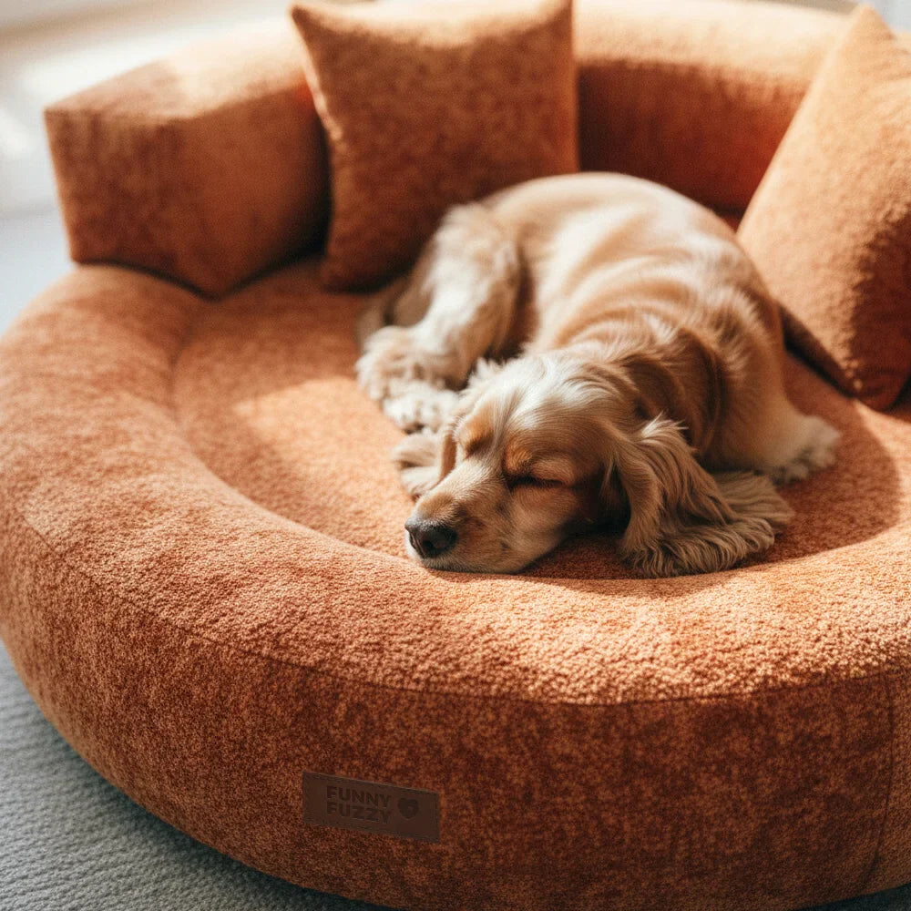 PAVLUNE - Statement Velvet Dog Bed for Cushioned Joint Support