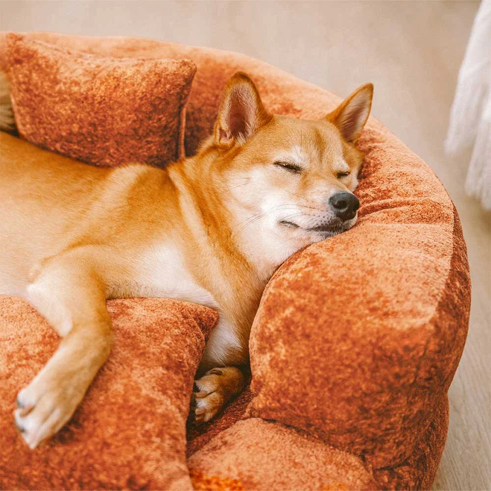 PAVLUNE - Statement Velvet Dog Bed for Cushioned Joint Support
