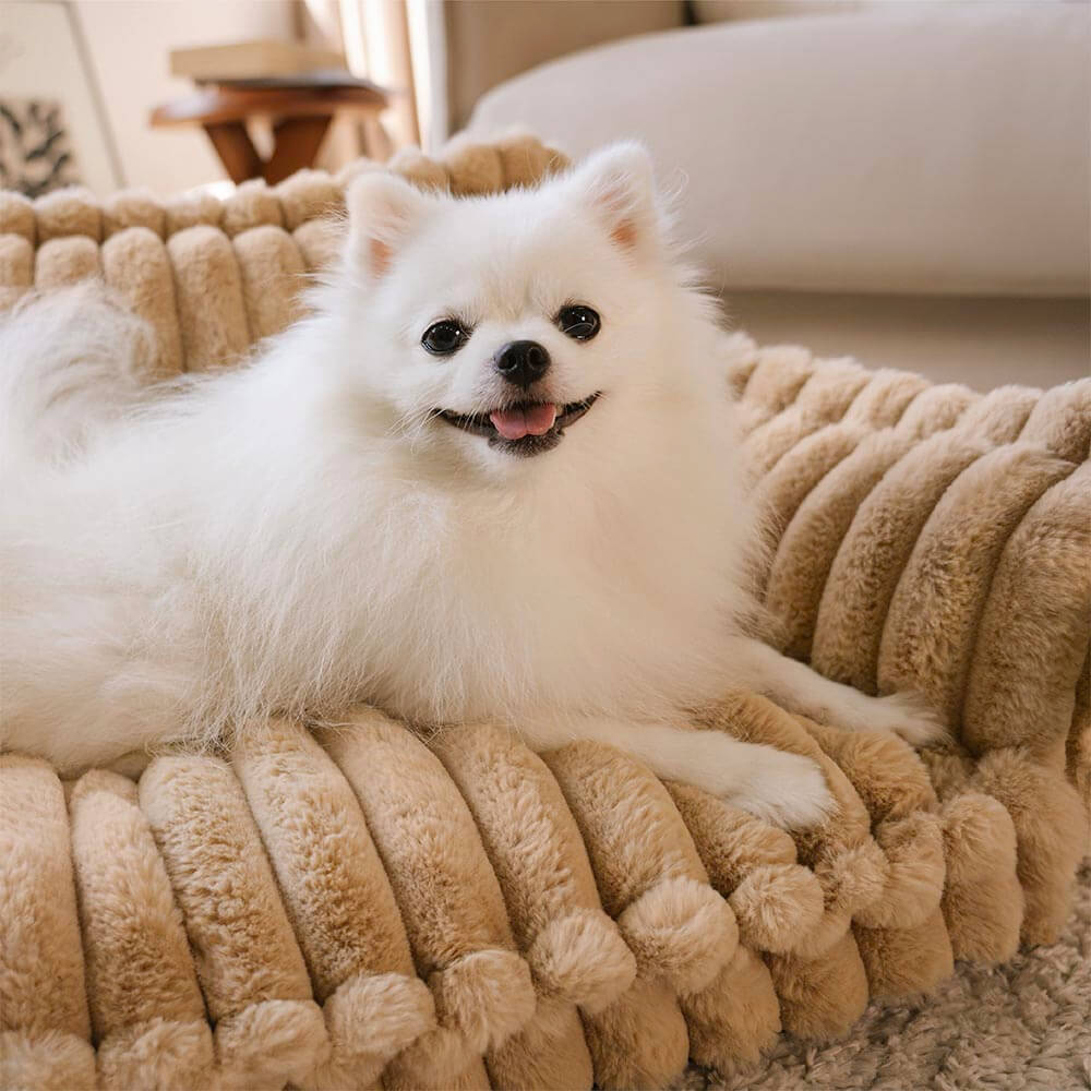 PLOVENA - Plush Orthopedic Dog Sofa for Supportive Rest
