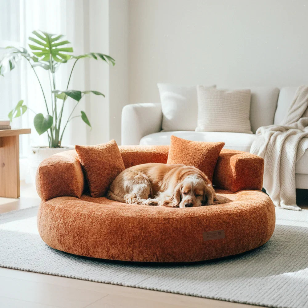 PAVLUNE - Statement Velvet Dog Bed for Cushioned Joint Support