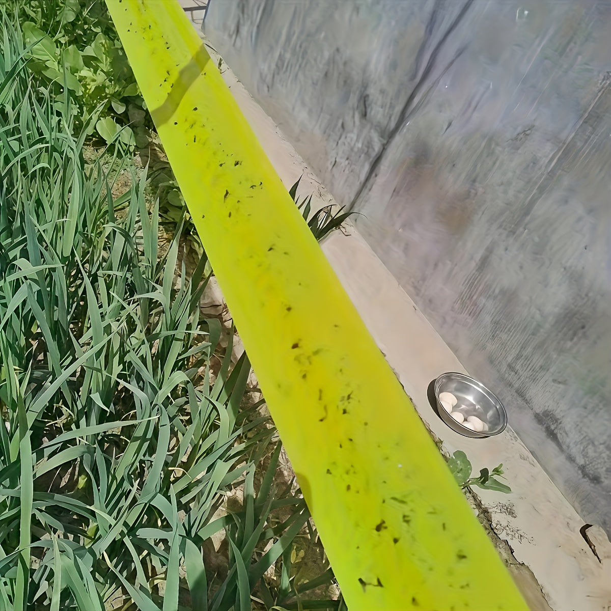 BUGSTRIP - Tree Barrier Tape That Stops Crawling Garden Pests