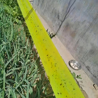 BUGSTRIP - Tree Barrier Tape That Stops Crawling Garden Pests