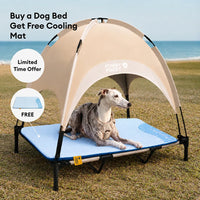 VAYLORA - Elevated Canopy Dog Bed for Cool Sheltered Rest