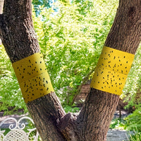 BUGSTRIP - Tree Barrier Tape That Stops Crawling Garden Pests