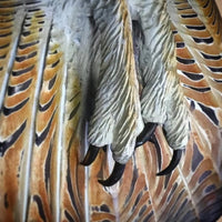 NOCTYRA - Handcrafted Wood Owl Wall Art for a Striking Focal Point