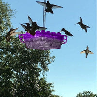 NECTARHAVEN – Ant-Proof Hummingbird Feeder with 30 Easy Access Ports