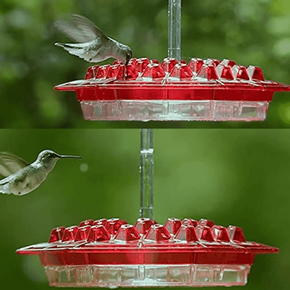 NECTARHAVEN – Ant-Proof Hummingbird Feeder with 30 Easy Access Ports
