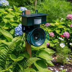 ORNIVEX - Solar Motion Bird Repeller That Protects Outdoor Furniture