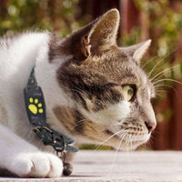 MIAUVIA - Compact Cat GPS Tracker for Fee-Free Location Updates