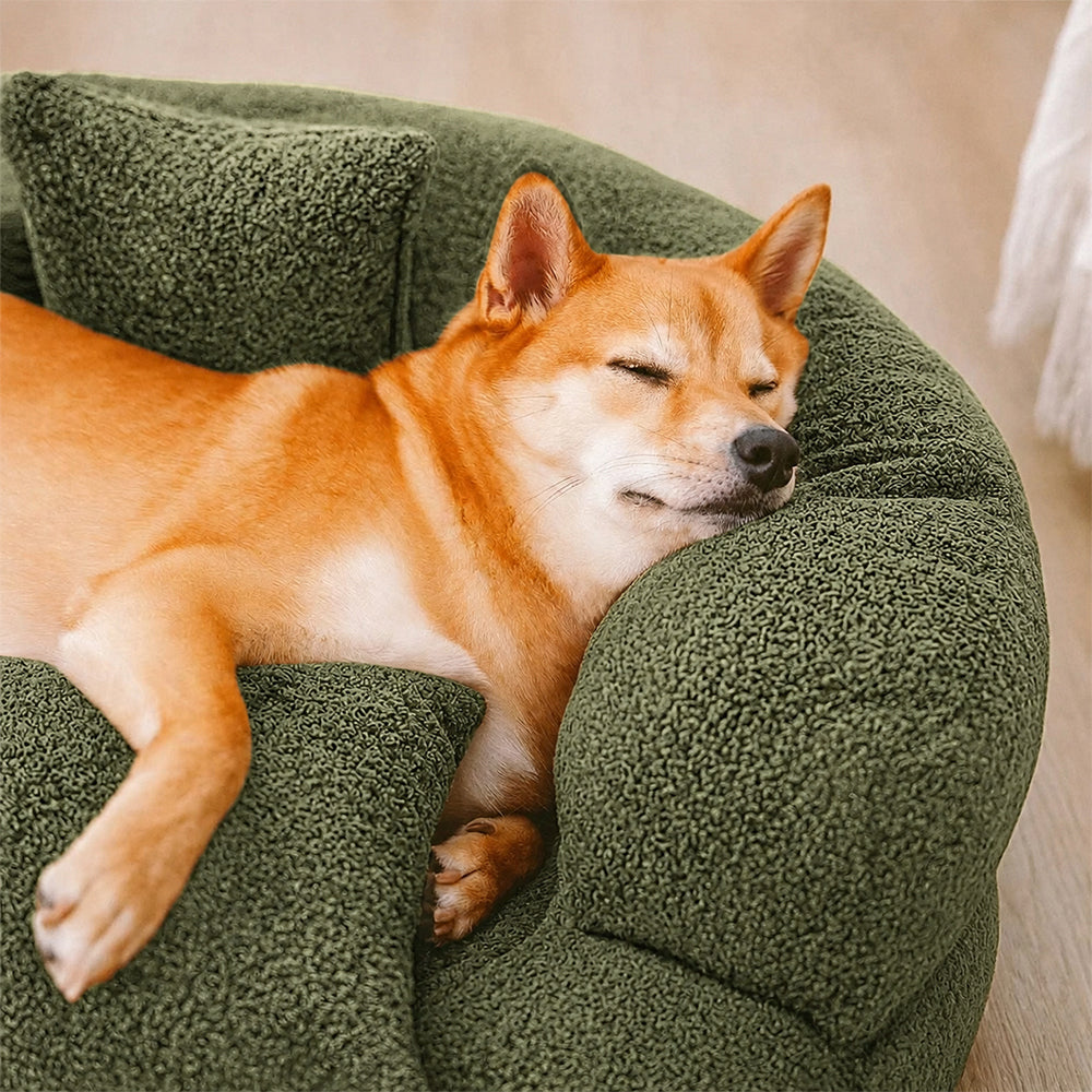 PAVLUNE - Statement Velvet Dog Bed for Cushioned Joint Support