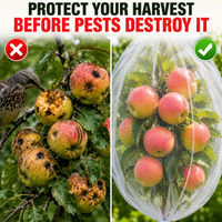 CROPSHIELD - Drawstring Mesh Bags That Shield Growing Fruit