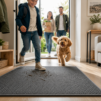 DRYZONE - Highly Absorbent Doormat for Clean and Dry Indoor & Outdoor Entrances