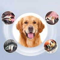 ORALPAW - Advanced Ultrasonic Teeth Cleaning Device for Pets with 5 Care Levels