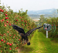 BIRVANO - Solar Ultrasonic Repeller for Peaceful Outdoor Spaces