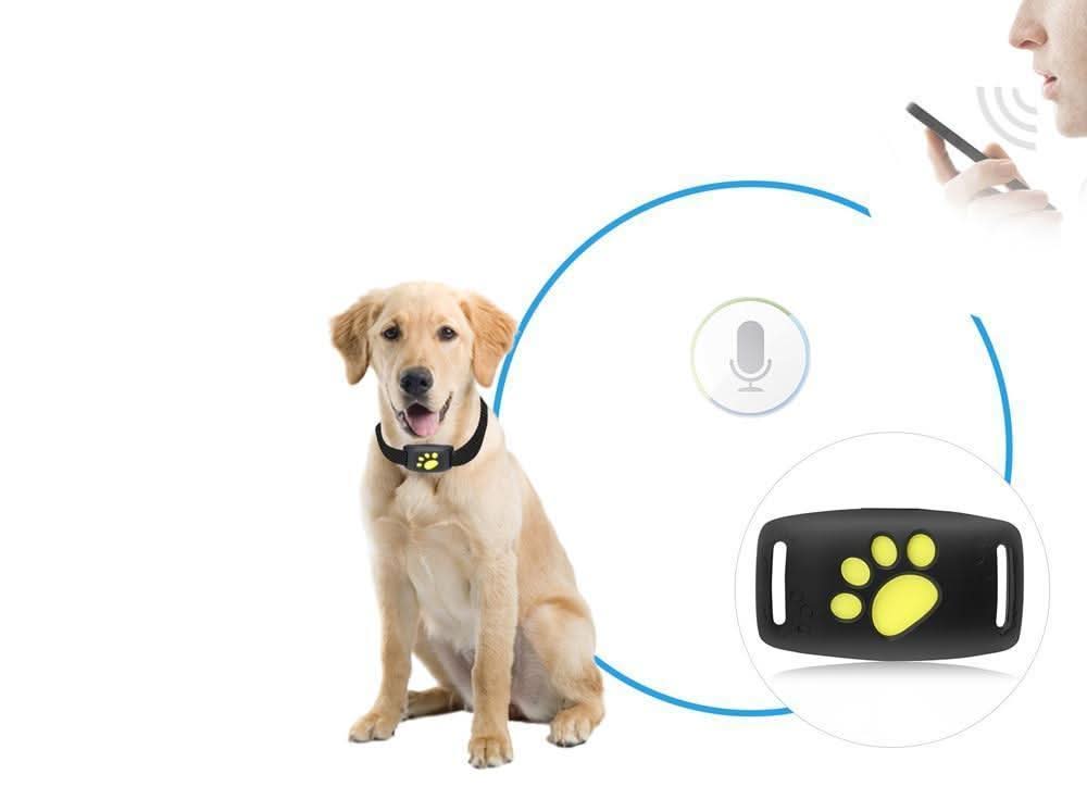 MIAUVIA - Compact Cat GPS Tracker for Fee-Free Location Updates